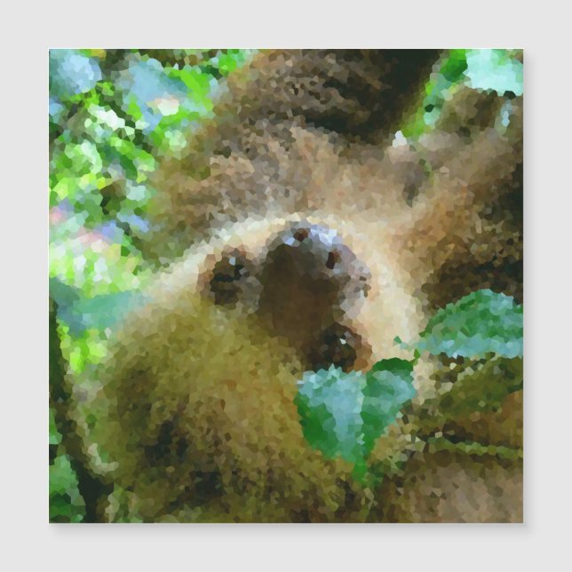 Carte Magnétique Poly Animals - Sloth (Devant)