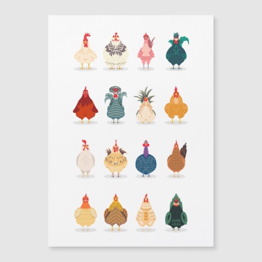 Carte Magnétique  Poulet mou (Devant)