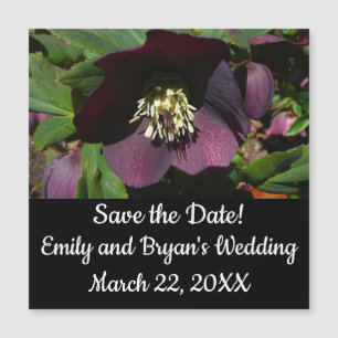 Carte Magnétique Purple Carême Rose Pâques