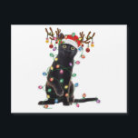 Carte Magnétique Reindeer Black Cat Christmas Lights Funny Cat Love<br><div class="desc">Reindeer Black Cat Christmas Lights Funny Cat Lover Gifts</div>