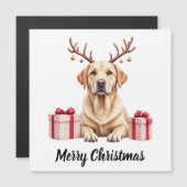 Carte Magnétique Renne du Labrador (Devant / Derrière)