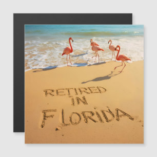 Carte Magnétique Retraités en Floride Flamants sur une plage tropic