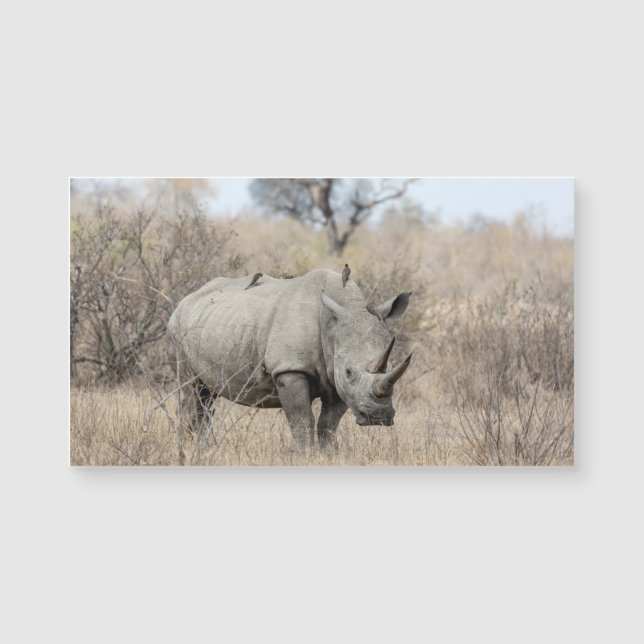 Carte Magnétique Rhino blanc (Devant)