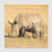 Carte Magnétique rhinocéros mignons en afrique (Devant)