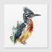 Roadrunner coloré dans la couleur de l'eau