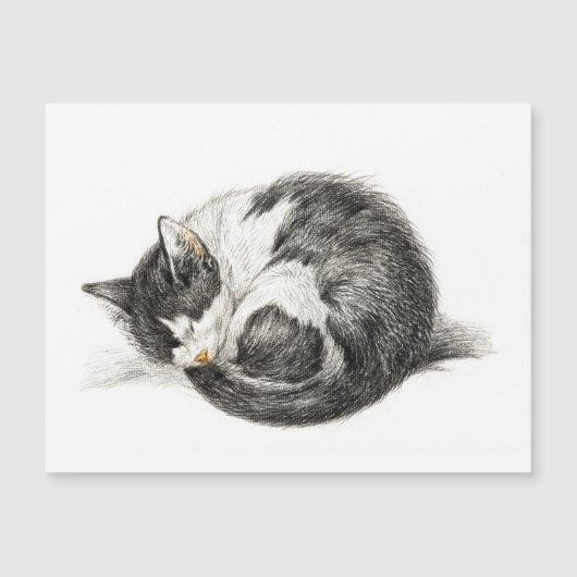 Carte Magnétique Rolled vers le haut couché chat (1825) (Devant)