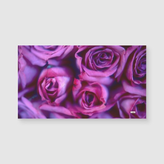 Carte Magnétique Rose (Devant)