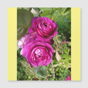 Carte Magnétique rose à l'ancienne