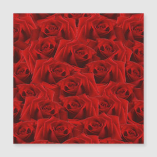 Carte Magnétique Rose rouge romantique
