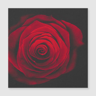 Carte Magnétique Rose rouge sur fond noir effet vintage