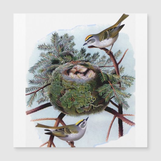 Carte Magnétique royaume à couronne dorée (Devant)