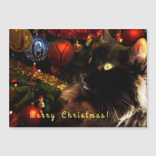 Carte Magnétique Salutations de Noël de Kitty