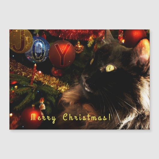 Carte Magnétique Salutations de Noël Kitty (Devant)