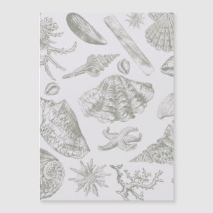Carte Magnétique Seashell Soft Antique Art Beach Shops