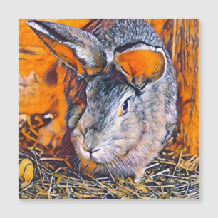 Carte Magnétique smartmix animal-lapin
