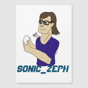Carte Magnétique Sonic_Zeph
