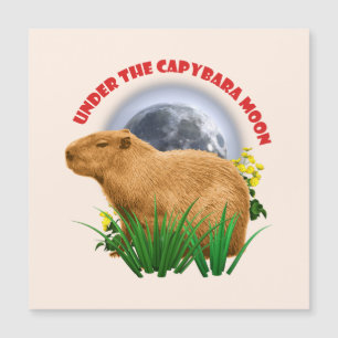 Carte Magnétique Sous la Lune du Capybara Capybara Drôle