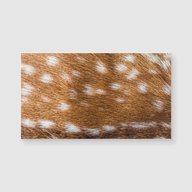 Carte Magnétique Spotted deer pour texture (Devant)
