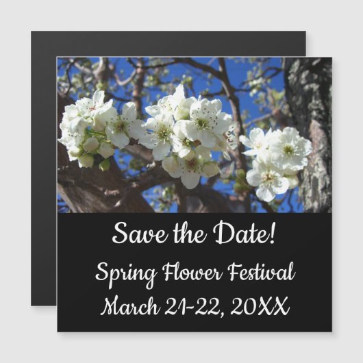 Carte Magnétique Spring Flowering Pear Tree (Devant / Derrière)