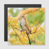 Carte Magnétique Spring time Sparrow (Devant / Derrière)