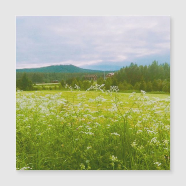 Carte Magnétique Summer in Hälsingland - Helsingia  (Devant)