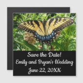 Carte Magnétique Swallowtail Butterfly II at Shenandoah (Devant / Derrière)