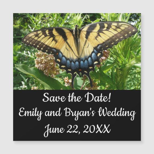 Carte Magnétique Swallowtail Butterfly II at Shenandoah (Devant)