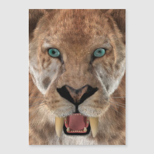 Carte Magnétique Tigre à dents de sabre ou Smilodon