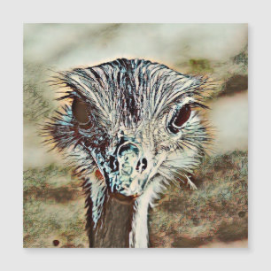 Carte Magnétique toono