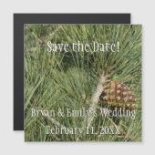 Carte Magnétique Torrey Pine Closeup California Botanical (Devant / Derrière)