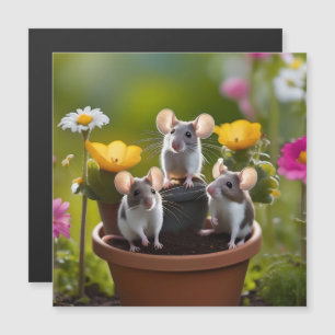 Carte Magnétique Trois Mètres Dans Des Pots À Fleurs,