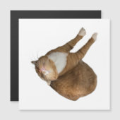 Carte Magnétique Upside-Down Sunshine (Devant / Derrière)