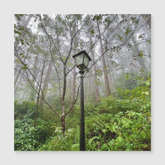 Carte Magnétique Vibes portugaises (Devant)