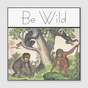 Carte Magnétique Vintage de singe inspiré