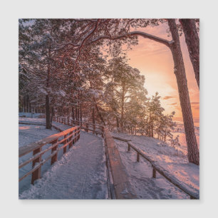 Carte Magnétique Winter sunset in pine forest near sea
