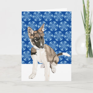 Carte Magnifique chiot Husky Noël blanc 