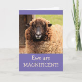 Carte Magnifique mouton Joyeux anniversaire (Devant)