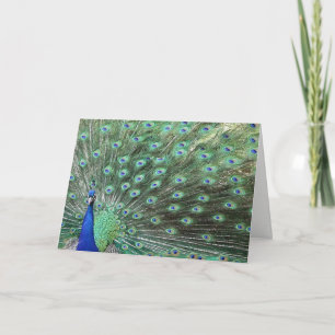 Carte Magnifique Peacock Je Dis Bonjour Card