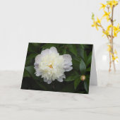 Carte Magnifique Peony Flower Photographie (Fleur jaune)
