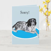 Carte Magnifique Springer Spaniel noir et blanc désolé (Fleur jaune)