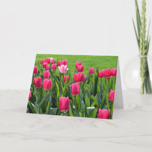 Carte magnifiques fleurs de tulipes roses de printemps j
