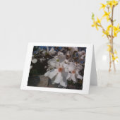 Carte Magnolia (Fleur jaune)