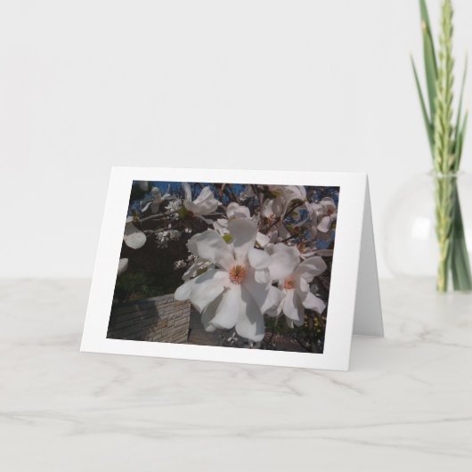 Carte Magnolia (Devant)