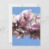 Carte Magnolia blossom (Dos)