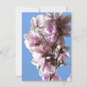 Carte Magnolia blossom