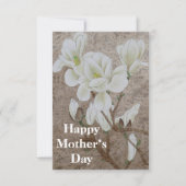 Carte Magnolia blossom (Devant)