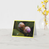 Carte Magnolia Buds (Fleur jaune)
