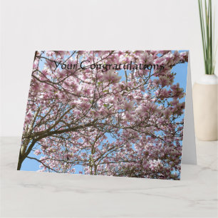 Carte Magnolia en avril