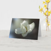 Carte Magnolia grandiflora (Fleur jaune)