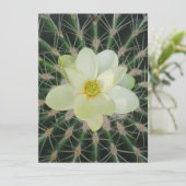 Carte Magnolia sweetbay (Debout devant)